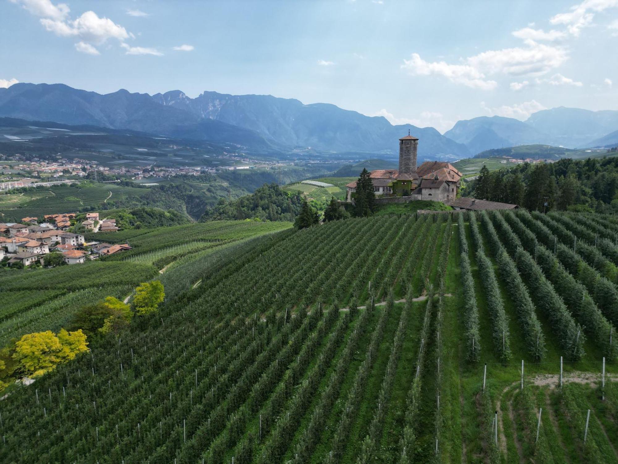 Appartamento Maso Valer - Agritur Tassullo Esterno foto