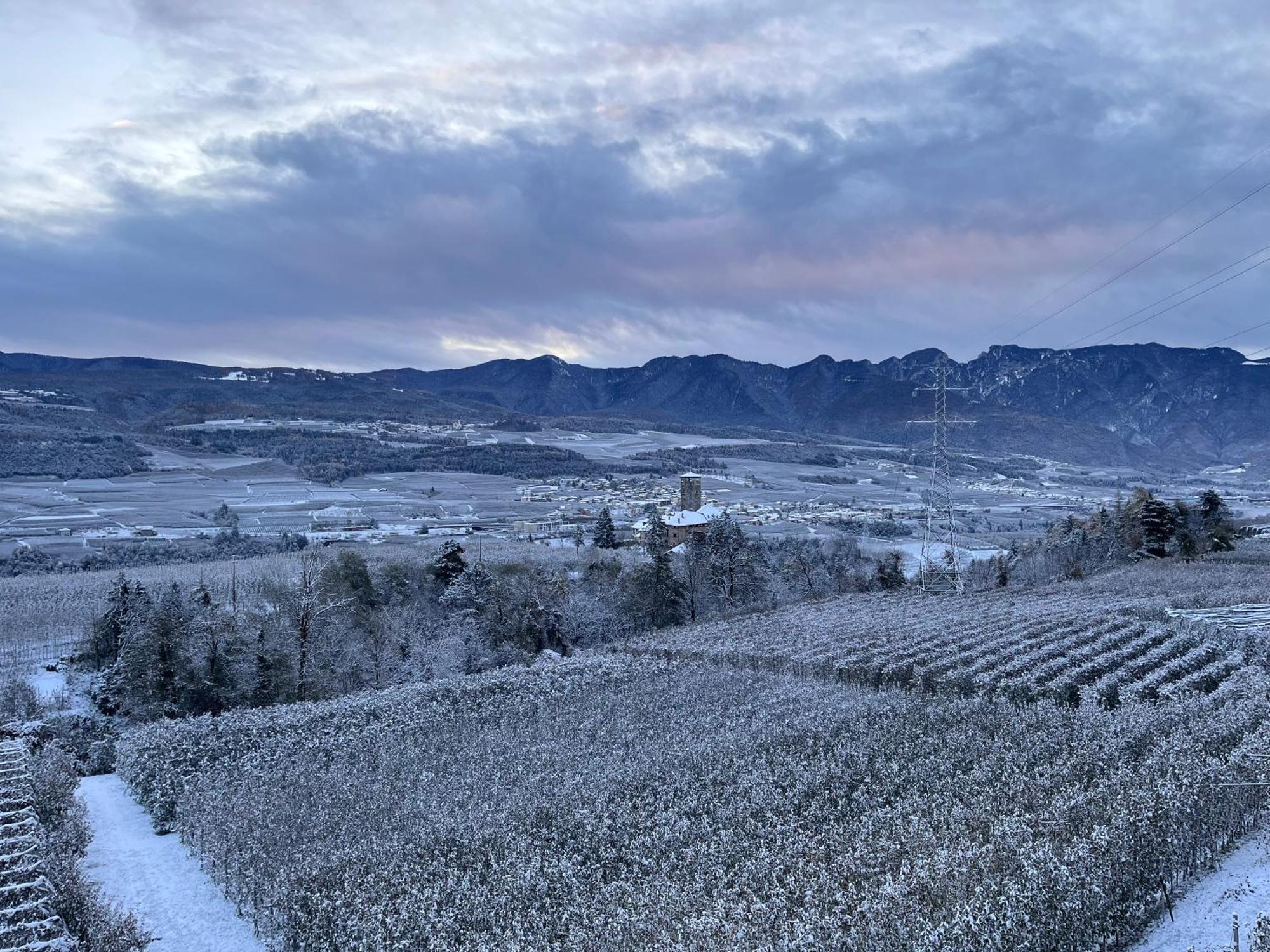 Appartamento Maso Valer - Agritur Tassullo Esterno foto