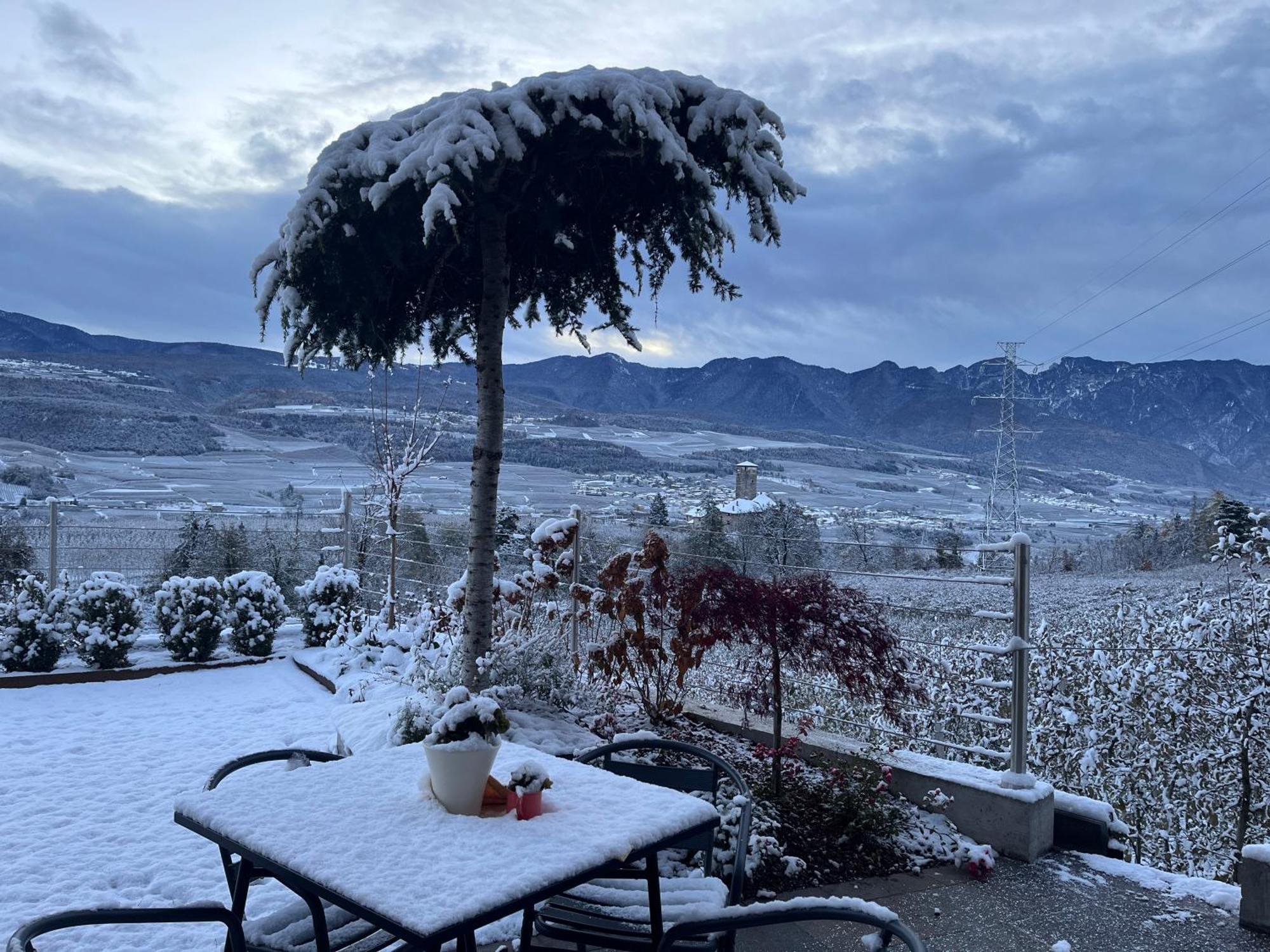 Appartamento Maso Valer - Agritur Tassullo Esterno foto
